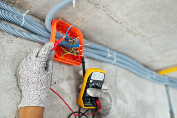 Best Ceiling Fan Installation Electrician  in Phoenix Lake, CA